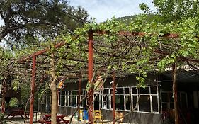 Olympos Camlık Pension